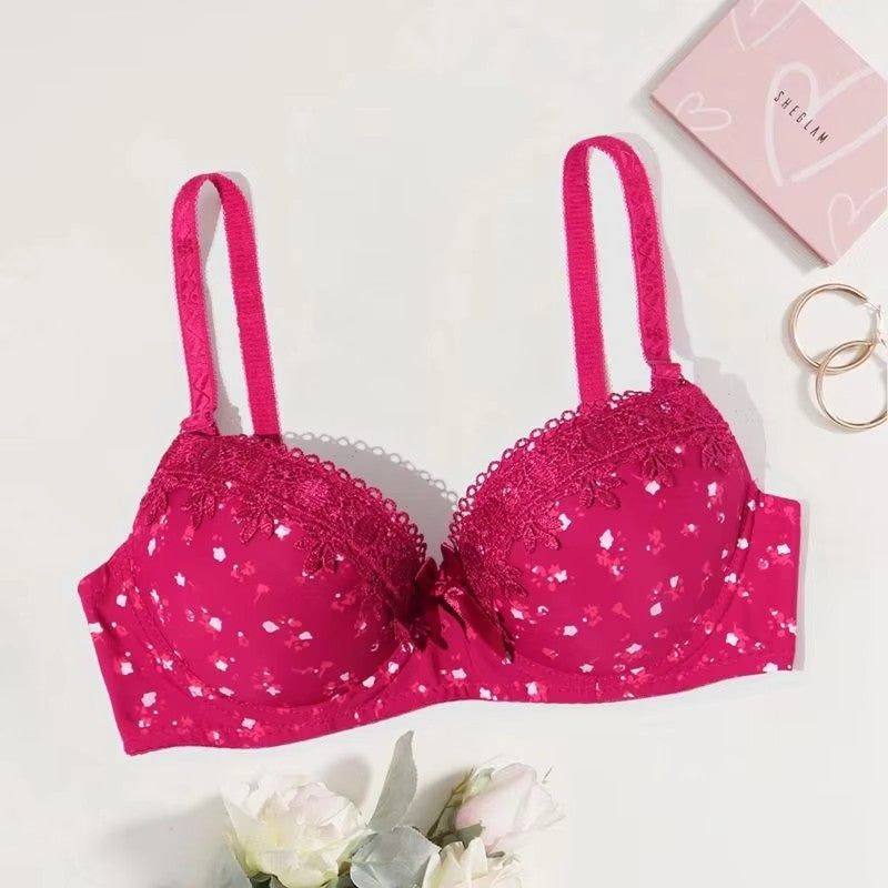Floral Brassiere Push Up Bra With Foam Pad Lace Underwear with wire Embroidered Bras for Women 75B-90B